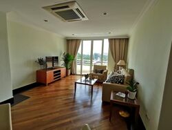The Hermitage (D10), Apartment #522063311